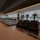 머슬뷰티 이미지