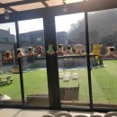 퍼피랜드 이미지