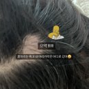 [젤리펌] 1년만에 펌💇🏻‍♀️