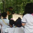 해법 행정사사무소 이미지