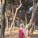 산림조합중앙회 산림사업본부 | [산림경영 시대②] ‘산도 돈이 될 수 있다’ 사유림 경영의 새로운 가능성