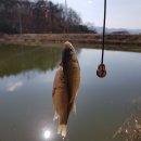 자인대물낚시 이미지