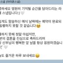 [디에이스냅] 아이폰 스냅 계약 후기 (짝꿍 할인 있음!)