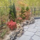 코끼리공인중개사사무소 이미지