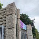 성신약국 | 성신여대 공공마켓 그리고 그후의 먹부림