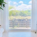 폴인럽제주 이미지