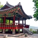 까치산근린공원(화곡터널상부) | 겸재정선미술관 앞 벚꽃길 - 서울 양천구의 조용한 감성 벚꽃 명소