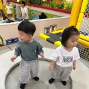 평택 코코몽키즈랜드 | 평택뉴코아아울렛 키즈카페 추천