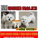 우창카센타 네이버블로그