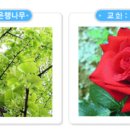 전주교육대학교군산부설초등학교