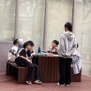 독서논술 | 풍무동 독서논술 책나무 연세대 고려대 멘토링 투어 후기