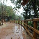 구리 토평 가족캠핑장 이미지