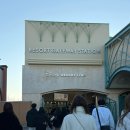 라푼젤 | [일본 도쿄] 디즈니씨 Disney sea 오픈런 및 라푼젤 후기