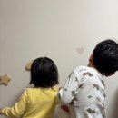 마음이 봉봉 | 아기방 인테리어 꾸미기 아카시아 봉봉 벽지 월 스티커 동물 하트 내돈내산 후기