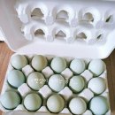 주산농장 이미지