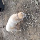 호기농장 이미지