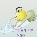 (주)모여커뮤니케이션 | [신한 커리어업 11기] / 2주차 - 하루 하루 생기는 큰 산 넘기