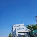 연수비용 초보운전연수 장롱면허운전연수 비용 금액 내돈내산 대전 대성자동차운전면허학원 1일차 후기