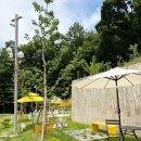 잔디공장 | 파주 애견운동장 슈베르몽 Sur Vert Mont｜비숑 2마리와 다녀온 신상 애견카페 천연잔디 운동장 후기