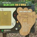 주식회사 황톳길 이미지