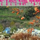 주식회사 광명여행 이미지
