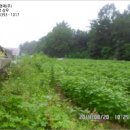 광석주유소 이미지