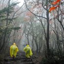 구름 속의 漢 拏 山 가을 이미지