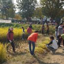 수왕초등학교 이미지