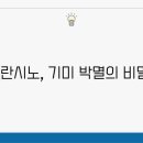 더화이트C 이미지