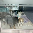 참좋은메디칼 이미지