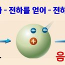 본텔 이미지