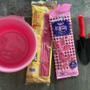 대박마트 | 애견동반캠핑장 오션뷰~ 서해바다 태안에서 조개잡기 _ 3월말날씨 / 달산포진주캠핑장