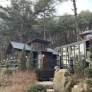 별들의 기침 이미지