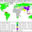 바이크나라 이미지