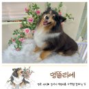 형곡로-1 이미지