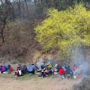 양평 산수유축제 양평 가볼만한 곳(산수유한우축제) 이미지