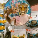 J-0031 | Osaka | 오사카 여행 (3-1) 오사카유니버셜스튜디오/유니버셜스튜디오 어트랙션 추천