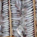3월 4일 판매생선(횟감용생물참치,생물갑오징어,40미씨알병어,참가자미,홍어회,새꼬막,생굴,자반고등어,젓갈류등) 이미지