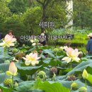 세미원 | 아이와 양평 가볼만한곳, 세미원 식물원 입장료 혜택 후기