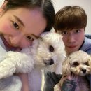 21그램 반려동물장례식장 | 두부랑 율무의 긴 여행- 반려동물 장례식장 21그램 광주점