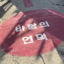 바람의언덕 동해타파스 와인&비어 이미지