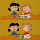 정파종외과의원 | 갑상선 결절 총생검 조직검사 후기