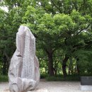 40. 공주 계룡산 동학사 - 유교적 사당을 품은 비구니 승가대학과 경허선사의 깨달음