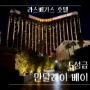 라스베가스 호텔 - 만달레이 베이(5성급/후기)