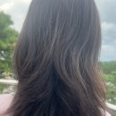 이후헤어갤러리 | [한성대미용실] 준오헤어 한성대입구역점: 부스스한 곱슬머리 클리닉 후기