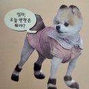 셰프랑반찬 이미지