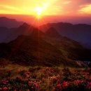 하북주유소 이미지