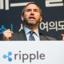 리플 이미지