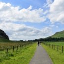 왕골목장 이미지