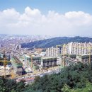 김준호행정사사무소 이미지